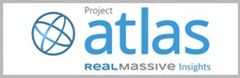 RealMassive Logo