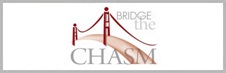 Bridge the Chasm