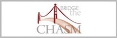 Bridge the Chasm Logo