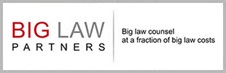Big Law Partners