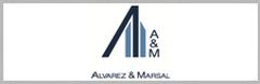 Alvarez & Marsal Logo