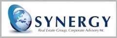 Synergy Logo