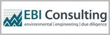 EBI Consulting