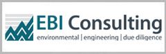 EBI Consulting Logo