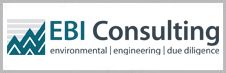 EBI Consulting