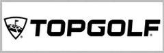 Top Golf - Houston Logo