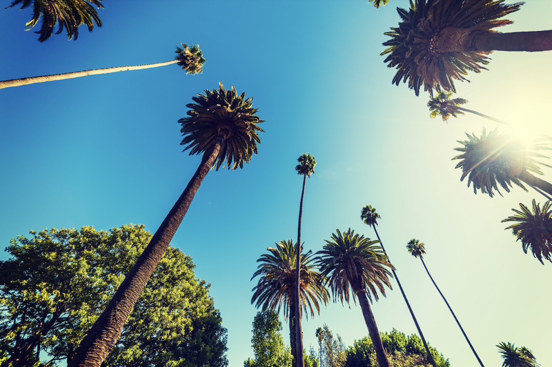 Future of Beverly Hills & West Los Angeles
