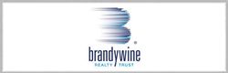 Brandywine Realty Trust TX