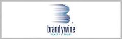 Brandywine Realty Trust TX Logo