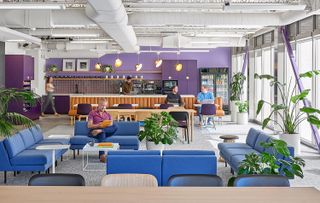 Modern office lounge with blue sofas, indoor plants, people working on laptops, and a kitchenette featuring purple accents and hanging lights.