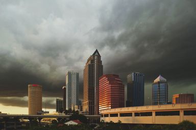 Tampa's Evolution