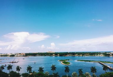 Palm Beach State of the Market