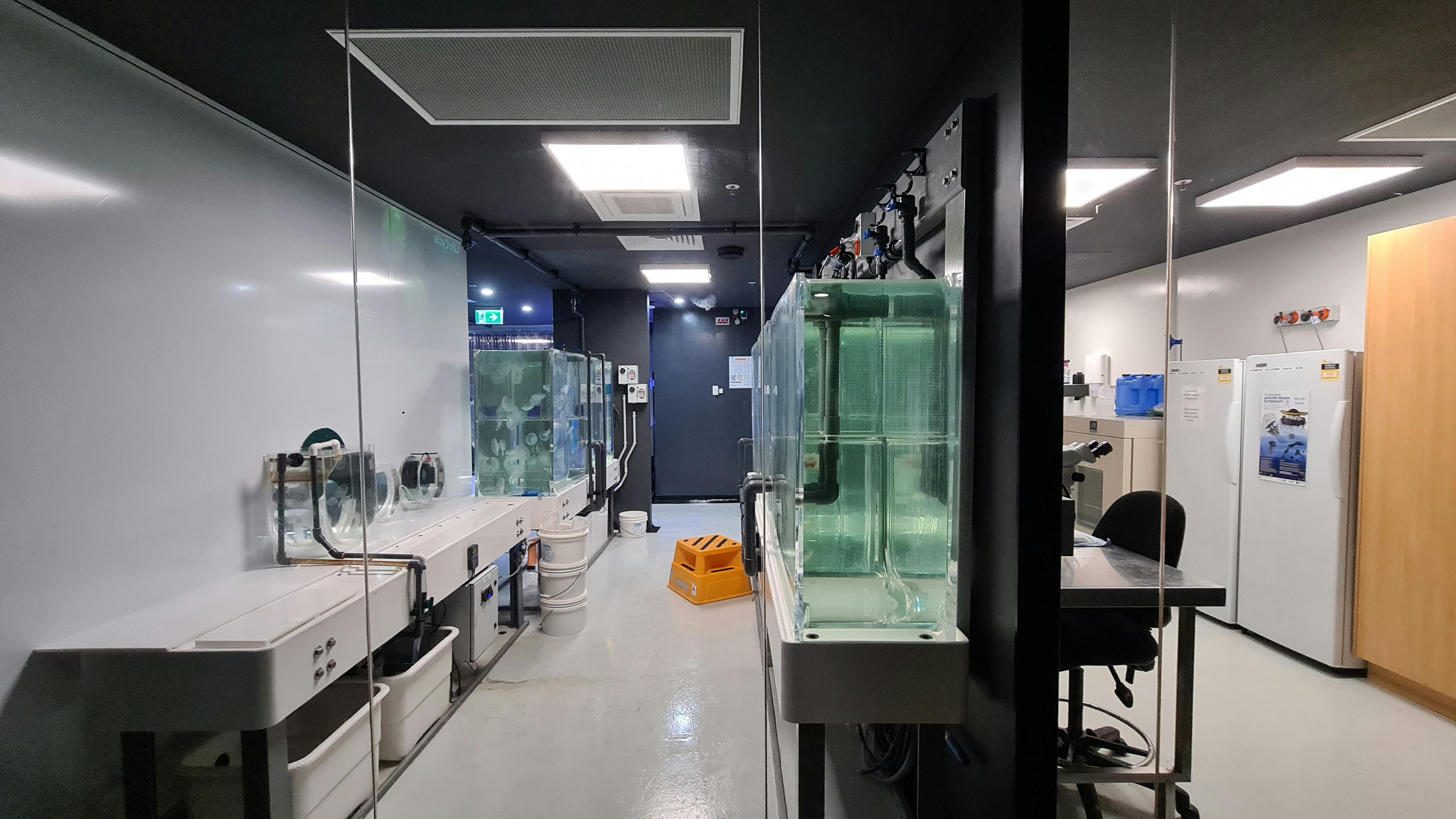 The Pain In NYC's Biotech Market Is Hitting Harlem Hardest