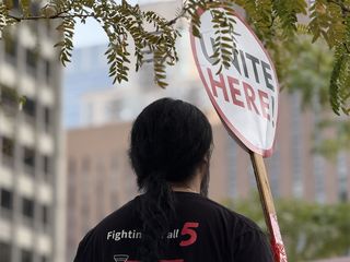A person holding a sign reading "UNITE HERE!" stands under tree branches, with blurred buildings in the background.