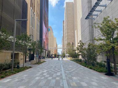 Rediscovering Central Dallas