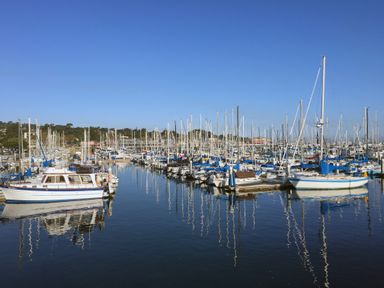 Future of Yacht Life & Marina Real Estate