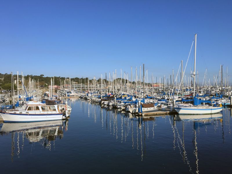 Future of Yacht Life & Marina Real Estate