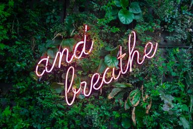 Prioritizing Health and Wellness in CRE