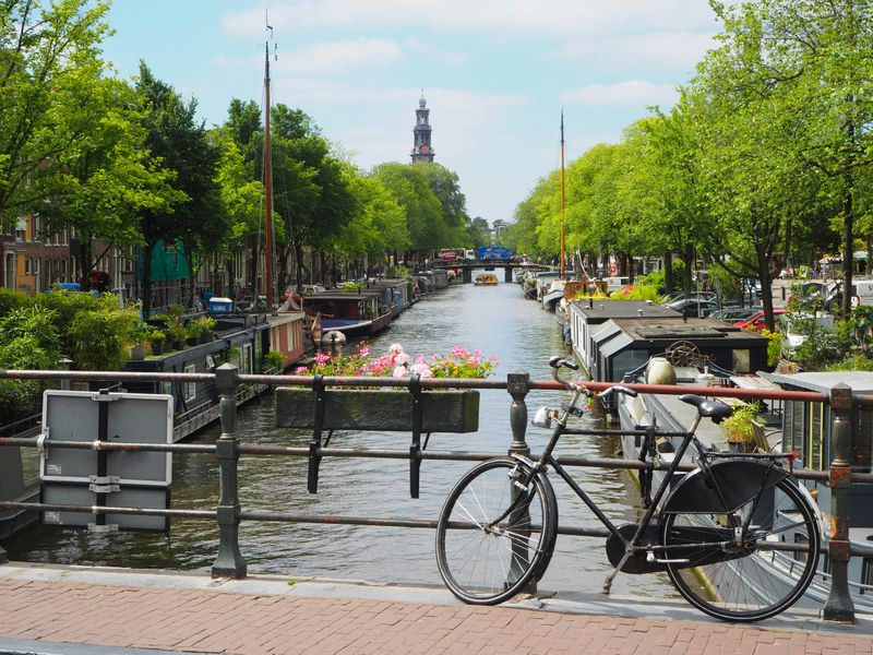 Netherlands State of the Market