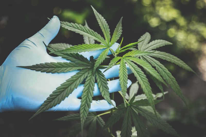 The SoCal Cannabis CRE Evolution
