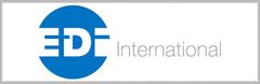 EDI International Logo
