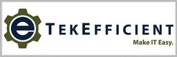 TekEfficient