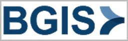 BGIS