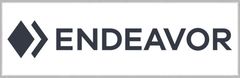 Endeavor Real Estate Group Logo