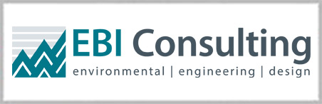 EBI Consulting