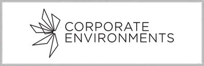 Corporate Environments