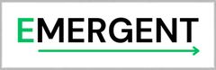 Emergent Real Estate Partners Logo