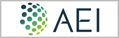 AEI Consultants