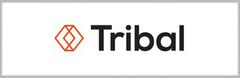 Tribal Partners Logo