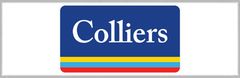 Colliers International Holdings Logo