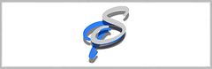 Parker Sky Cleaning Solutions Logo