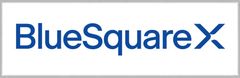 Blue Square X, Inc Logo