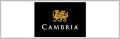 Cambria Logo