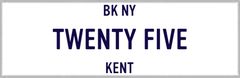 Rubenstein Partners Logo