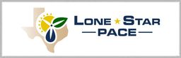 Lone Star Pace