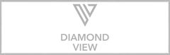 Diamond View Studios Logo