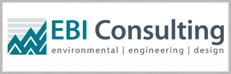 EBI Consulting