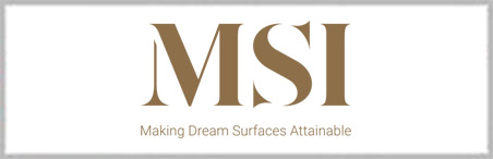 MSI Surfaces