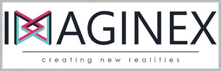 IMGX INC