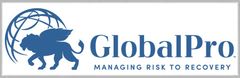 GlobalPro Logo