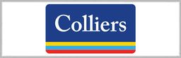 Colliers International Holdings