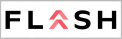 FlashParking Inc Logo