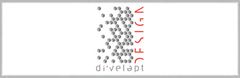 Di'velept Design Logo