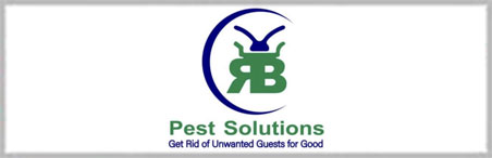 R.B. Pest Solutions
