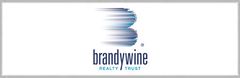 Brandywine Realty Trust Logo