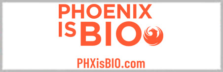 City of Phoenix